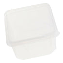 Plastic Insect Spider Habitat Feeding Box