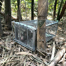 Mouse Rat Trap Cage Live Animal Pest Rodent Mouse Control Bait Catch