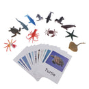 60x Realistic Montessori Jungle Animals Figures Set With Matching Cards