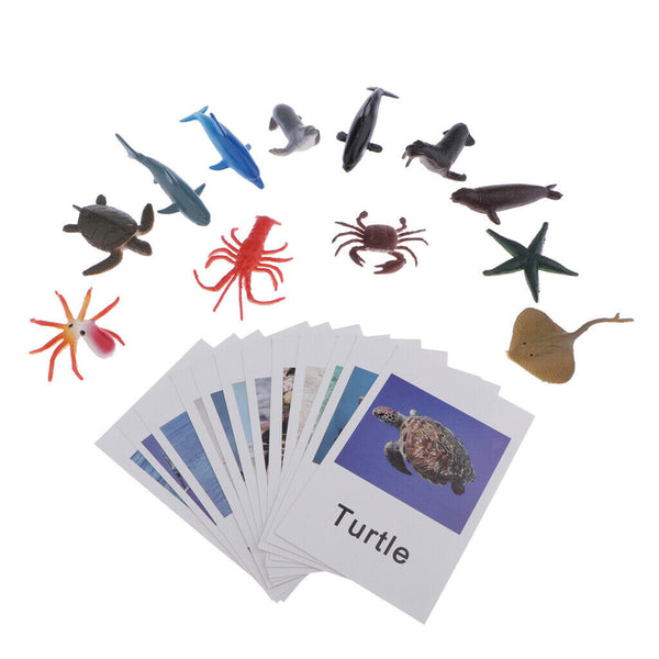 60x Realistic Montessori Jungle Animals Figures Set With Matching Cards