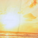 Photography Backdrops Vinyl Backgrounds Props 5x3FT Photo Beach sunset beau L5D3