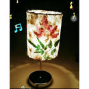 Ancient Wooden Paper Making Frame Screen for Handmade Paper Craft 20x30cm