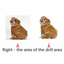 5d diy diamond painting cross stitch kit diamond embroidery dog diamond ani L5C3