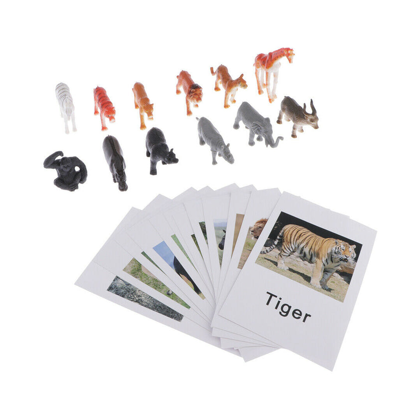 60x Realistic Montessori Jungle Animals Figures Set With Matching Cards