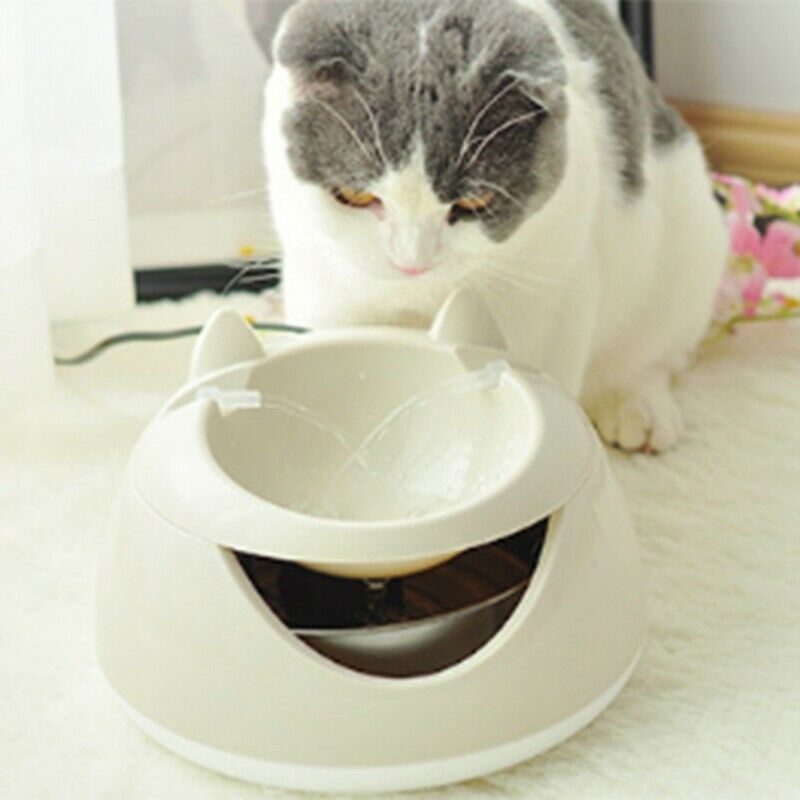 Automatic Luminous Pets Water Fountain For Cats Fountain Dogs Usb Electric