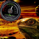 Vivarium Reptile Tortoise Terrarium Hygrometer Humidity Meter Gauge Rearing Box