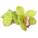 20 pcs Simulation Flower Great Cymbidium Flower Head (Green)
