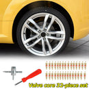 30pcs Brass Valve Cores with Car Bike Tire Valve Core Remover + 4 Way Tool