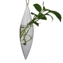 Ice cone & Icicle Set Hanging Glass Flower Planter Vase Terrarium Container