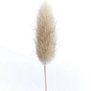 50Pcs Natural Raw Color Dried Flowers Real Flower Bouquet for Home Wedding