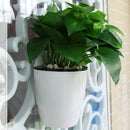 6-Packs Self Watering Hanging Planter Colorful Flower Pot for Home - S