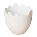 Egg Shaped Flower Plant Pot Container Planter Holder Home Office Garden Dec P4X9