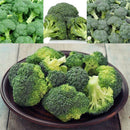 100pcs Ding Green Broccoli Seeds Vegetable Green Broccoli Seeds Nutritious LJ