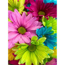5D DIY Full Drill Diamond Painting Cross Stitch Embroidery Kit (Flower09)