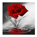 5D DIY cross stitch diamond painting home decoration 30 * 30 cm, water Rose T3S6