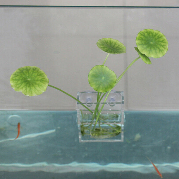 Modern Decorative Planter Vase Pot For All Aquarium Fish Tank Plants