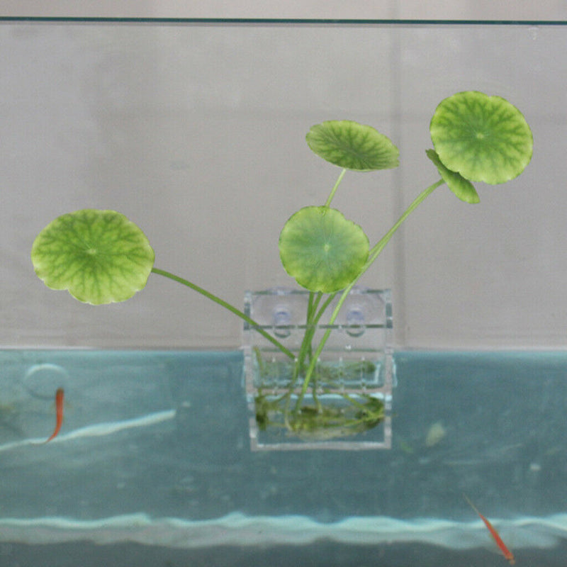 Modern Decorative Planter Vase Pot For All Aquarium Fish Tank Plants