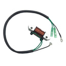 Lighting Charge Coil Replace For 40HP Yamaha Outboard 66T-85533-00-00