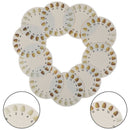 10Pcs Dental Cold Light Teeth Whitening Color Palette Comparison Contrast Ca_