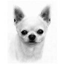 Diamond Embroidery Chihuahua Dog 5D Diy Diamond Painting Animal Diamond Pic