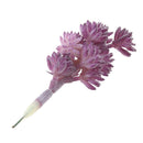 European Style Artificial Succulent Edelweiss Flocking Plant Decor