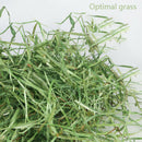 Hamster Teeth Grinding Toys Rabbit Tree Branch Grass Ball Hanging Cage ToyA.3C