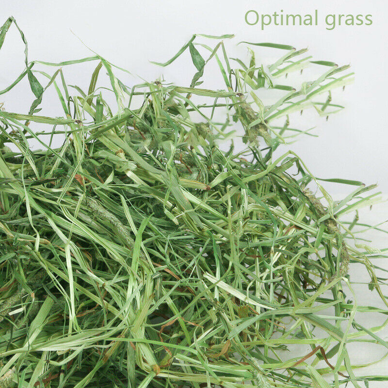 Hamster Teeth Grinding Toys Rabbit Tree Branch Grass Ball Hanging Cage ToyA.3C