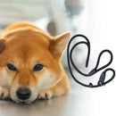 52inch Strong Nylon Rope Pet Dog Slip Training Leash Walking Lead Collar (B