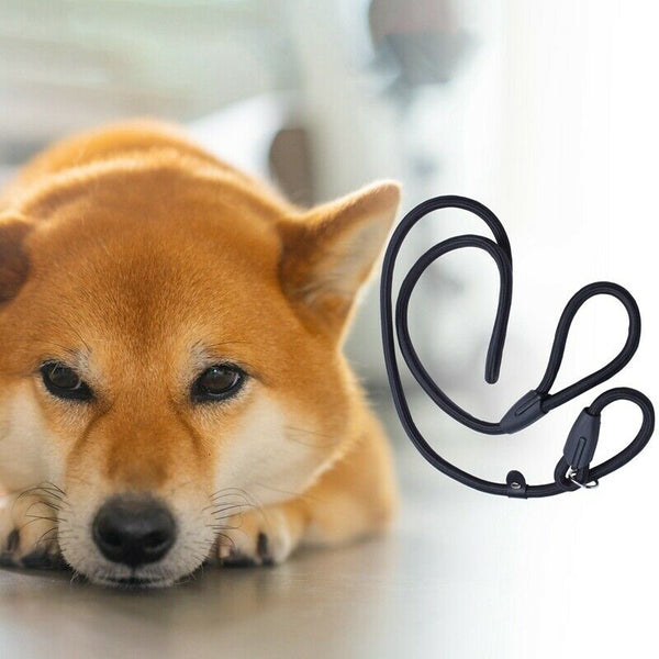 52inch Strong Nylon Rope Pet Dog Slip Training Leash Walking Lead Collar (B