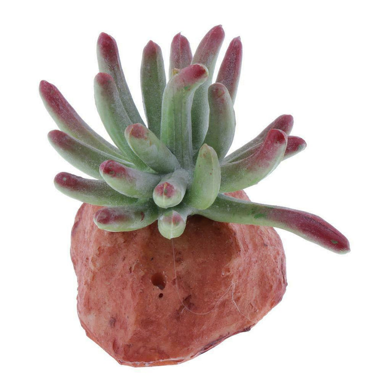 6PCS Aquarium Fish Tank Plants Succulents Reptile Hideaway Decoration - Reptile