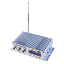 HY502 FM MP3 Audio Speaker Car Stereo Hi-Fi Amplifier Player