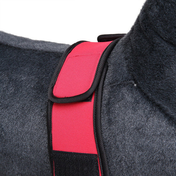 Dog Knee Joint Support Front Leg Compression Brace Protector Red - S