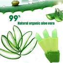 Magic Temperature Change Color Lipstick Moisture-green Pink Lip Makeup R1N5 L8U8