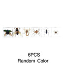 Creative Clear Amber Resins Insect Home Decorative Teaching Tools Insects G0D8