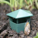 Plastic Slug and Snail Cage House Trap Catcher Slugs Snails Garden Trapp^i