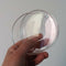 Clear Plastic Petri Dishes with Lids, Sterile, 90mm