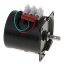 60KTYZ 220V 15rpm Permanent