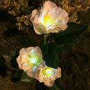 Solar Camellia Flower Lights, Solar Powered Garden Outdoor Decorative Lands