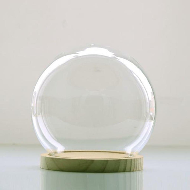 Glass Display Cloche Bell Jar Dome Flower Vase & Wooden Base 15cmx14cm (DXH)
