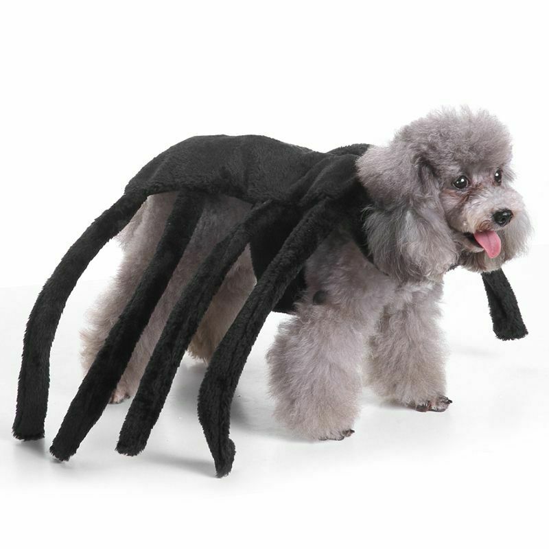Halloween Pet Dog Costume Clothes Big Spider Costume Clothes For Dogs Chihu A7D4