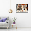 5D DIY Full Drill Diamond Painting Kitten Cross Stitch Embroidery Mosaic