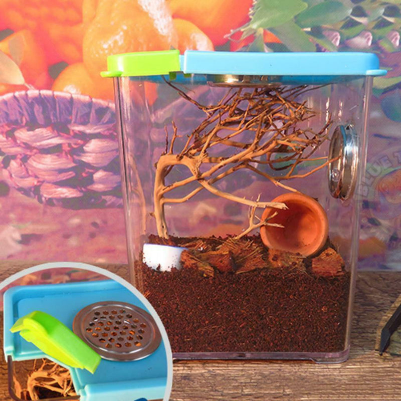 Set Of 2 Plastic Reptile Insect Spider Incubation Box Amphibians Breeding Boxes