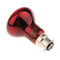2Pcs B22 Reptile Heat Basking Lamp UVA Heater Glass Heat Emitter 220V 60W