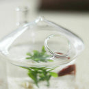 Mushroom-shaped Hanging Glass Planter Vase Rumble Fish Tank Terrarium Conta
