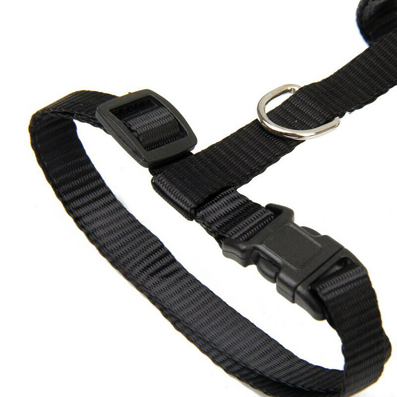 Nylon Adjustable Harness & Leash For Animals Black