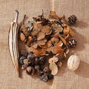 Natural Dried Flowers Pine Cone Acorn Artificial Flower Home Decoration