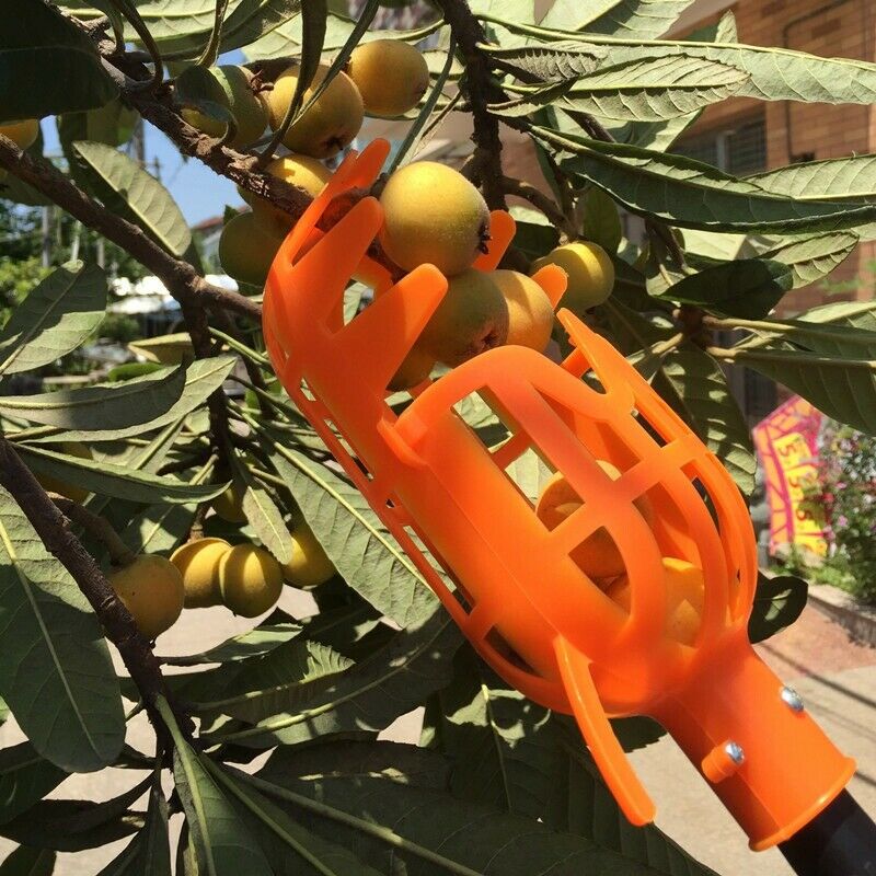 High Altitude Fruit Picker No pole 1Piece Plastic Picker without Pole Fruit