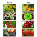 E27 Timing P30 Remote Control Plant Fill Light 50W 64LED High Power Red Lig