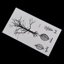 Leaf Tree Temporary Tattoos Body Arm Leg Waterproof Flash Tattoo Stickers B Bj
