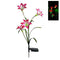 Solar Powered Energy Saving LED Color Changing Red Lily 4X Flowers Garden L O5W5